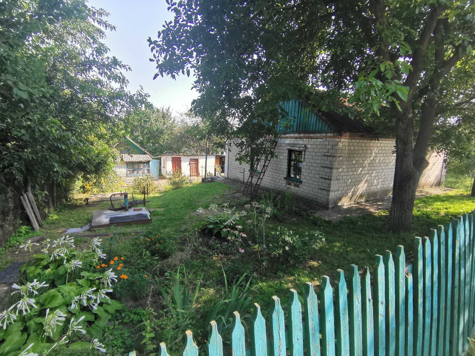 Дом в селе Васильевка
