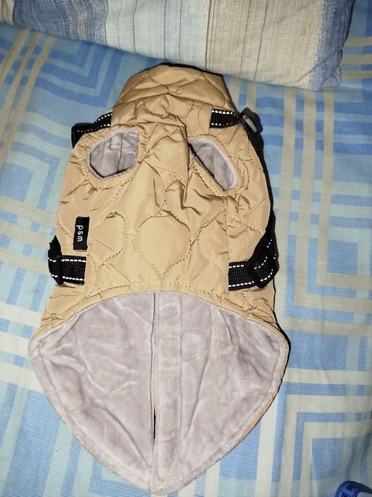 Зимняя одежда для маленьких собакчек