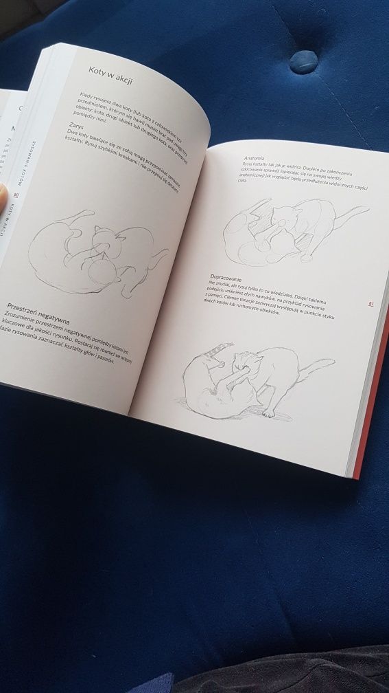 Rysuj koty książka