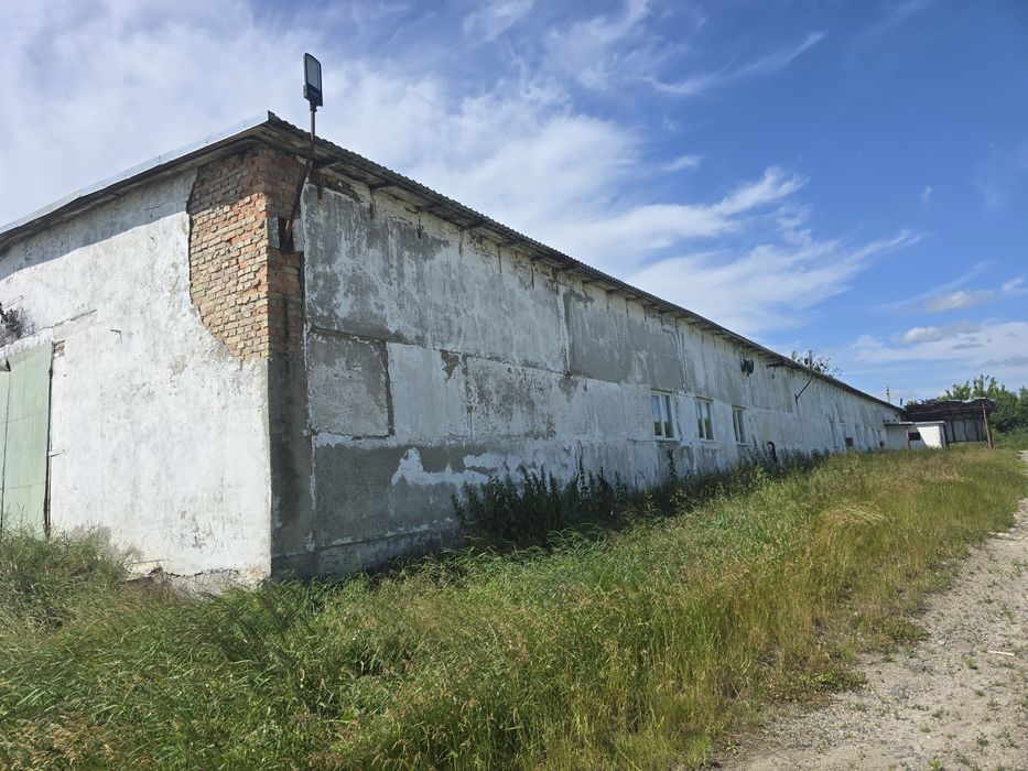 Цех виробництво шпону