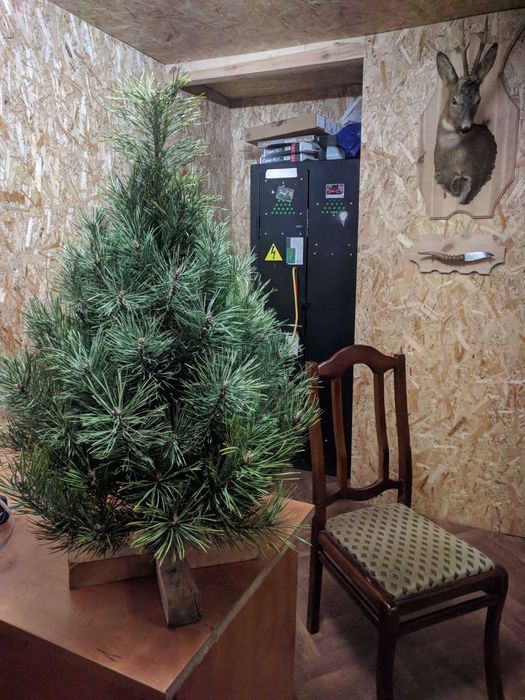 Ялинка набірна жива сосна (гостомель горенка буча ірпінь ворзель київ)