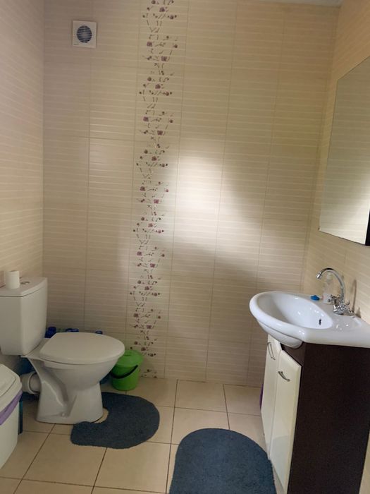 Оренда будинку 60 кв.м в с.Мала Олександрівка, Бориспільська траса