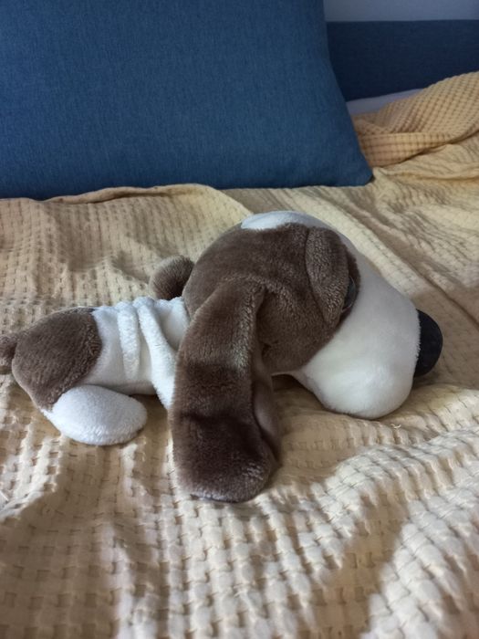 Zestaw Pluszowe pieski The dog