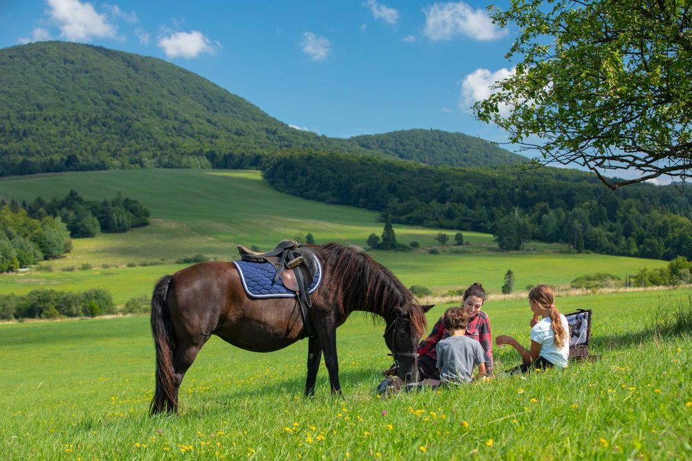 Wynajem pokoi i apartamentów Tylicz Wysowa Krynica Beskid Lackowa Izby