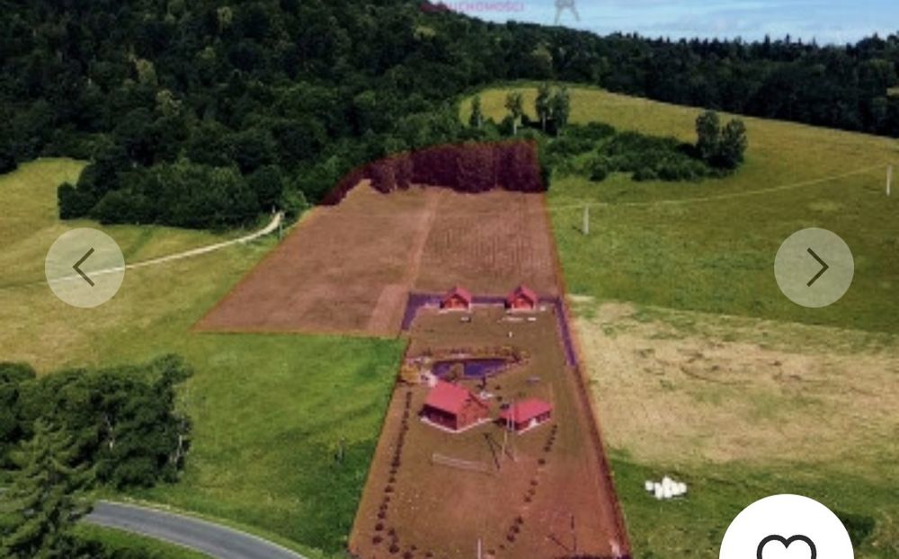 Siedlisko w Bieszczadach