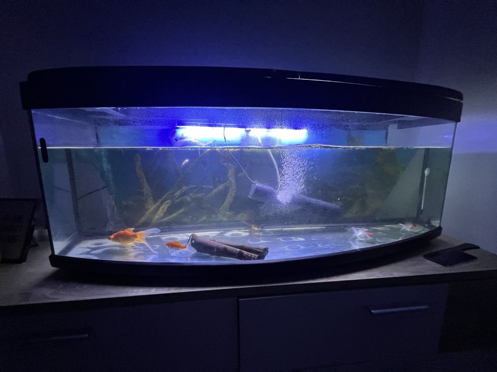 Aquario 200 litros