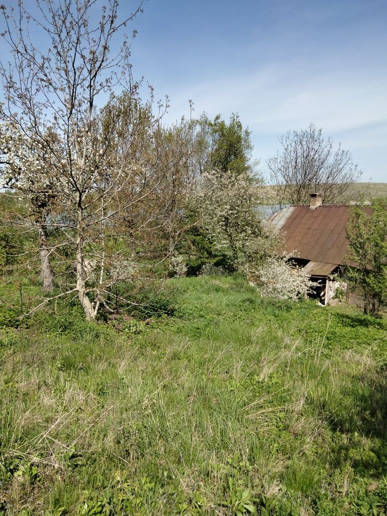 Продам будинок з земельною ділянкою в Городищі