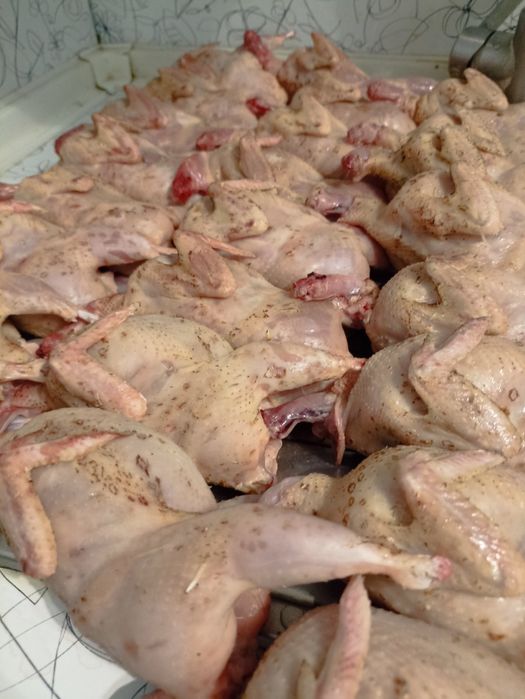 Перепілки молоді тушки м'ясо перепілок