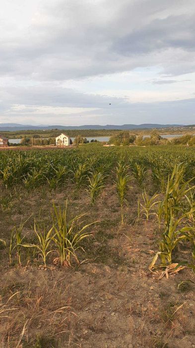 Земельна ділянка під Постройку в с.Пістрялово