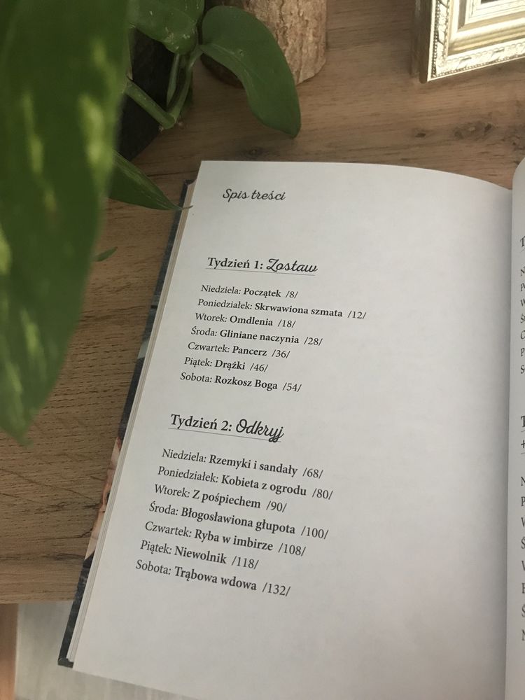 Plaster miodu - Adam Szustak OP