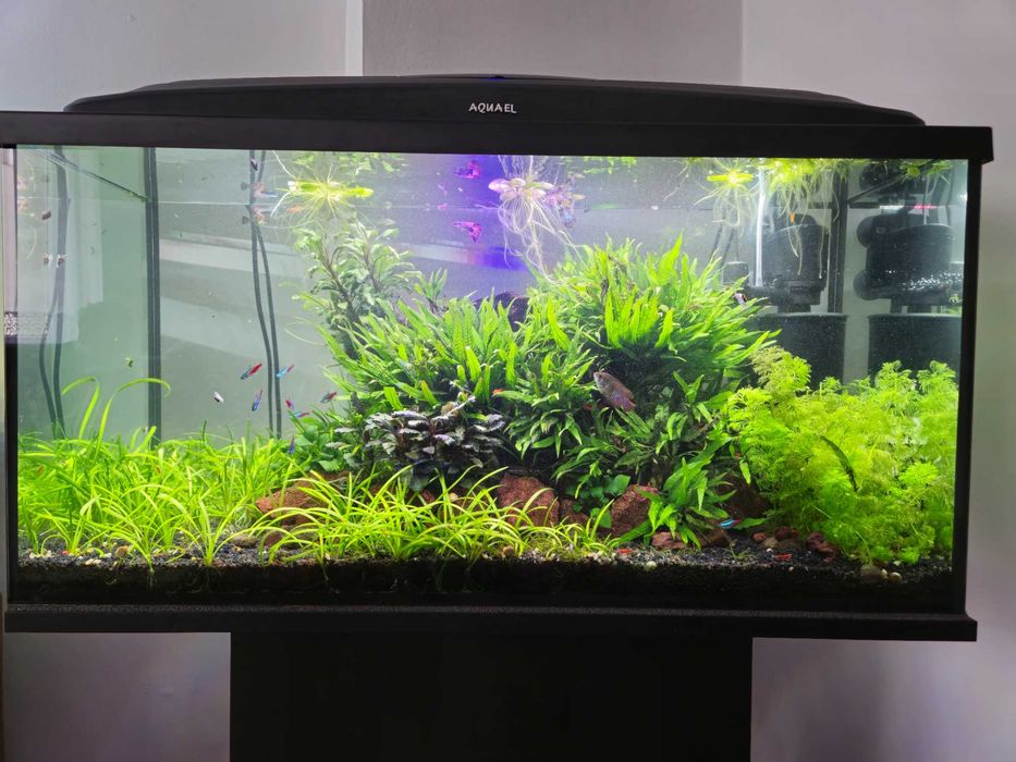 Akwarium 112l zestaw z szafką