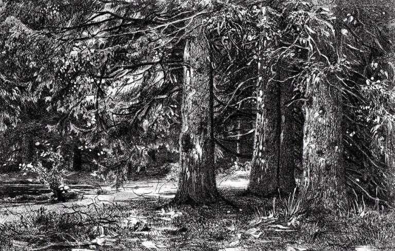 4 prace tworzące cykl pt."Puszcza"