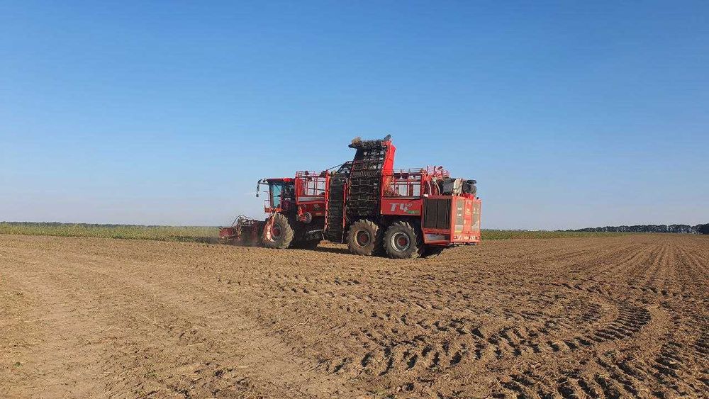 Надаю послуги копання цукрових буряків HOLMER T4-40