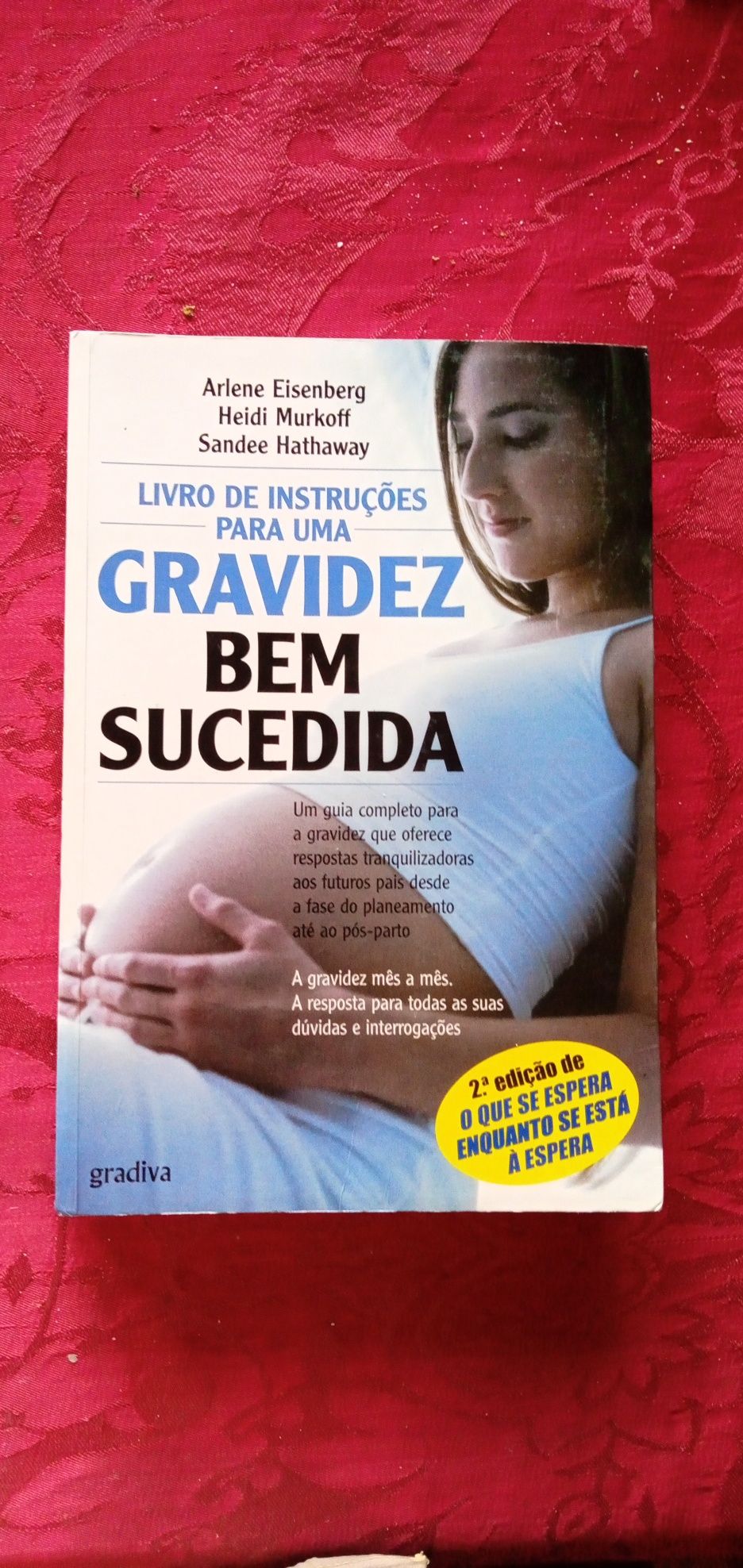 Guia da Mulher Grávida-Gail S.Brewer-Cetop-2ºEDi-8E -Biberao-2EDesde2E