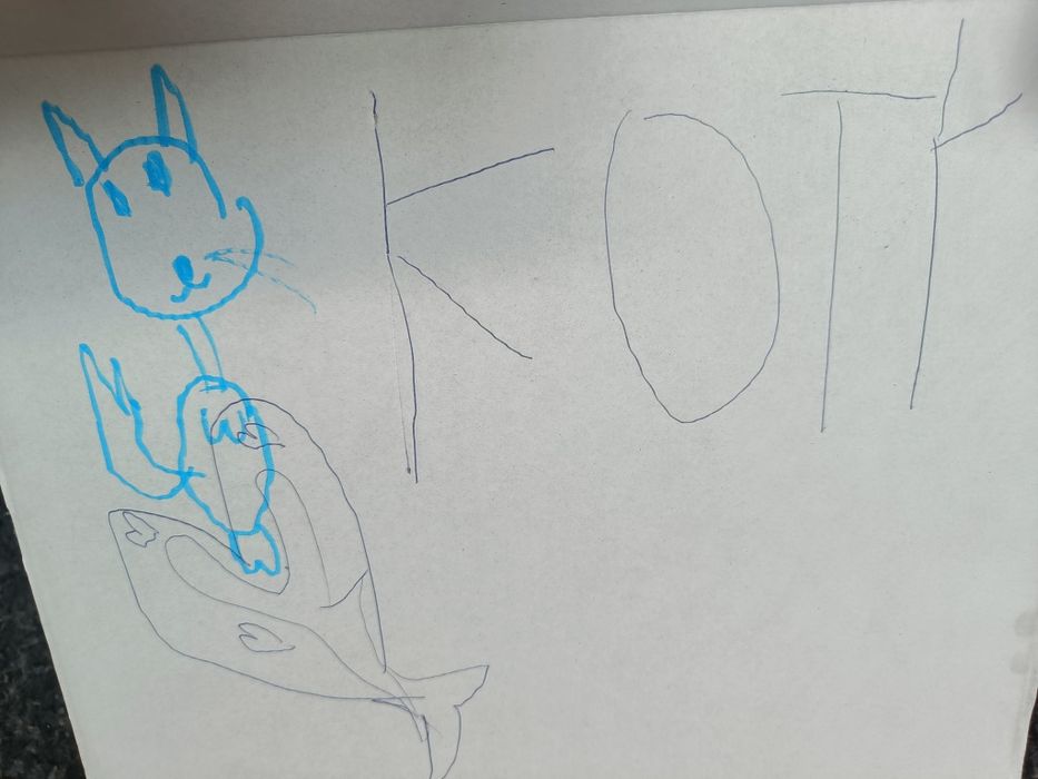 Kalambury gra rodzinna, pudełko lekko popisane w środku