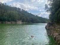 Quinta Margem Rio Tamega