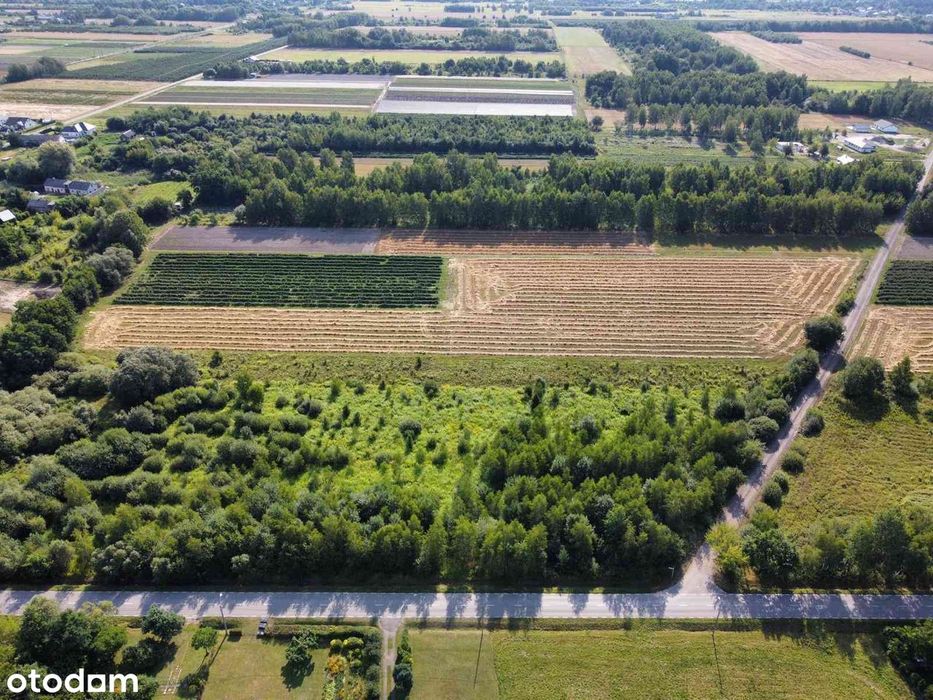 Działka Gąski gm. Tarczyn 2,67 ha