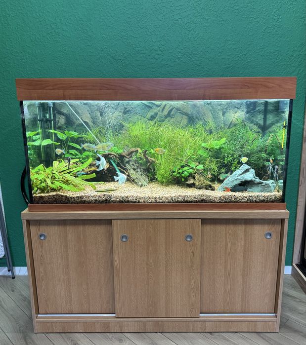 Акваріум 450 літрів у відмінному стані з рибками та водоростями коряга