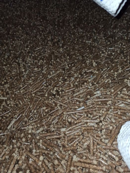 Pellet drzewny, 6mm, drewno,Transport hds