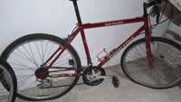 Bicicleta esmaltina vermelha