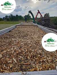 Wycinka/Zrębkowanie/Pozyskanie i skup biomasy/Oczyszczanie działek