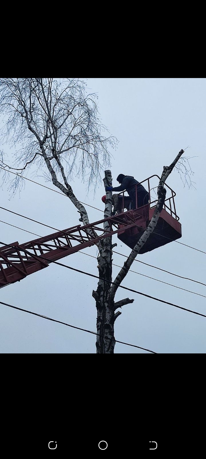 Спил деревьев лубой сложности..