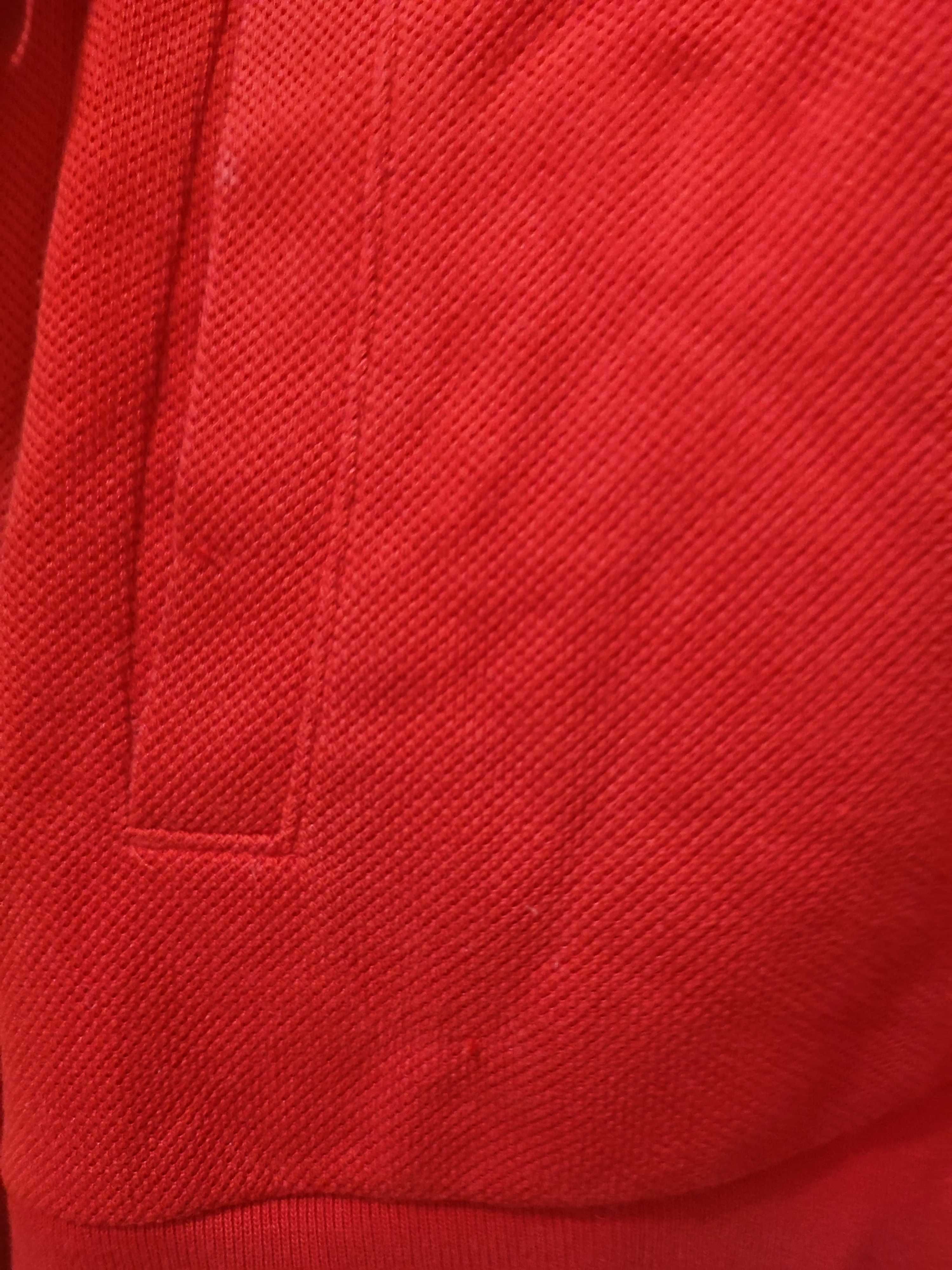 Casaco Lacoste Primavera/Verão