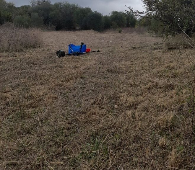 Limpeza de terrenos