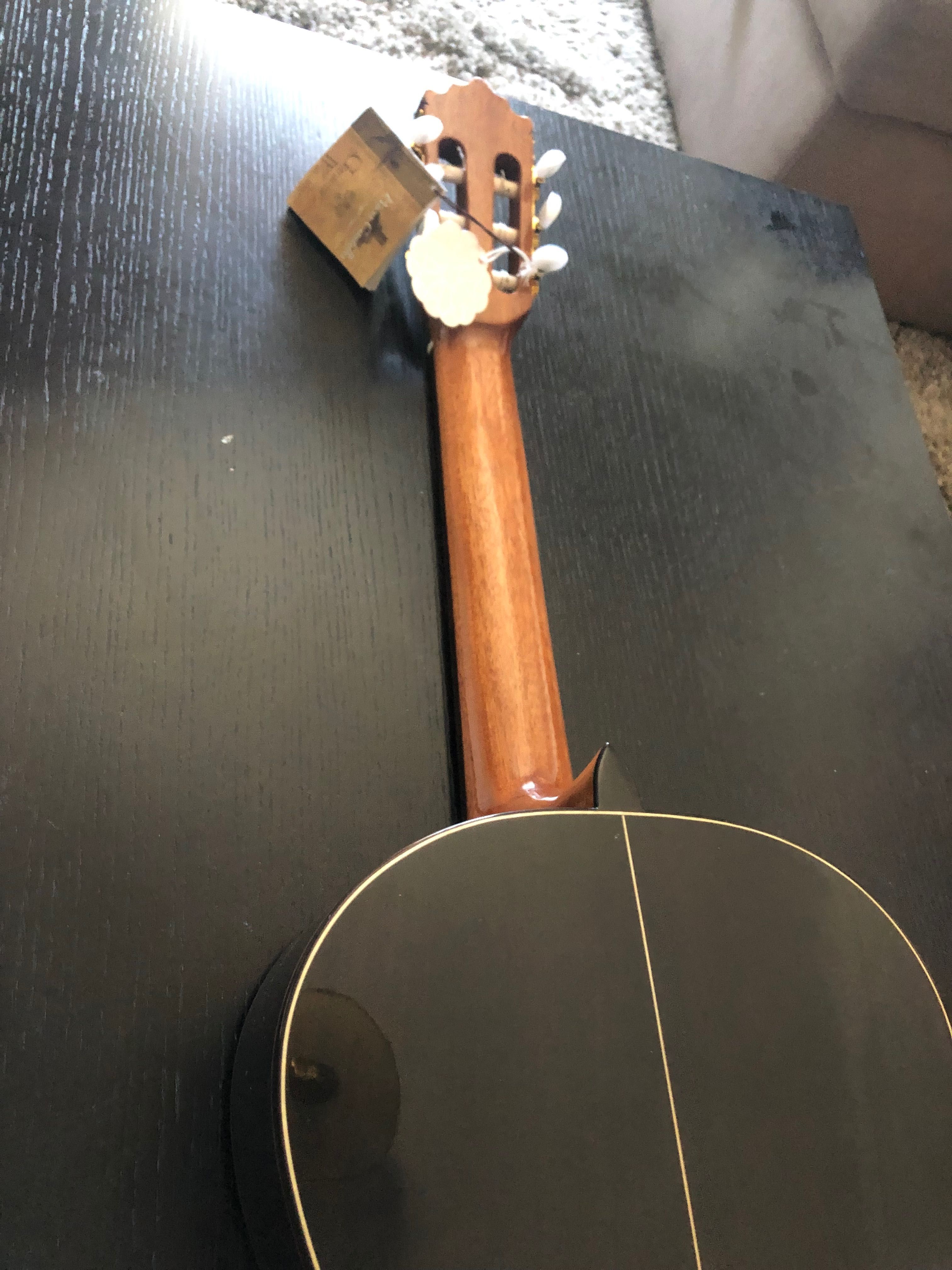 Guitarra Paco Castillo 203 ( NOVA )