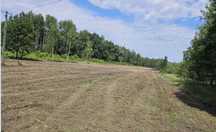 Działka Budowlana  6500 M²  Adamopol