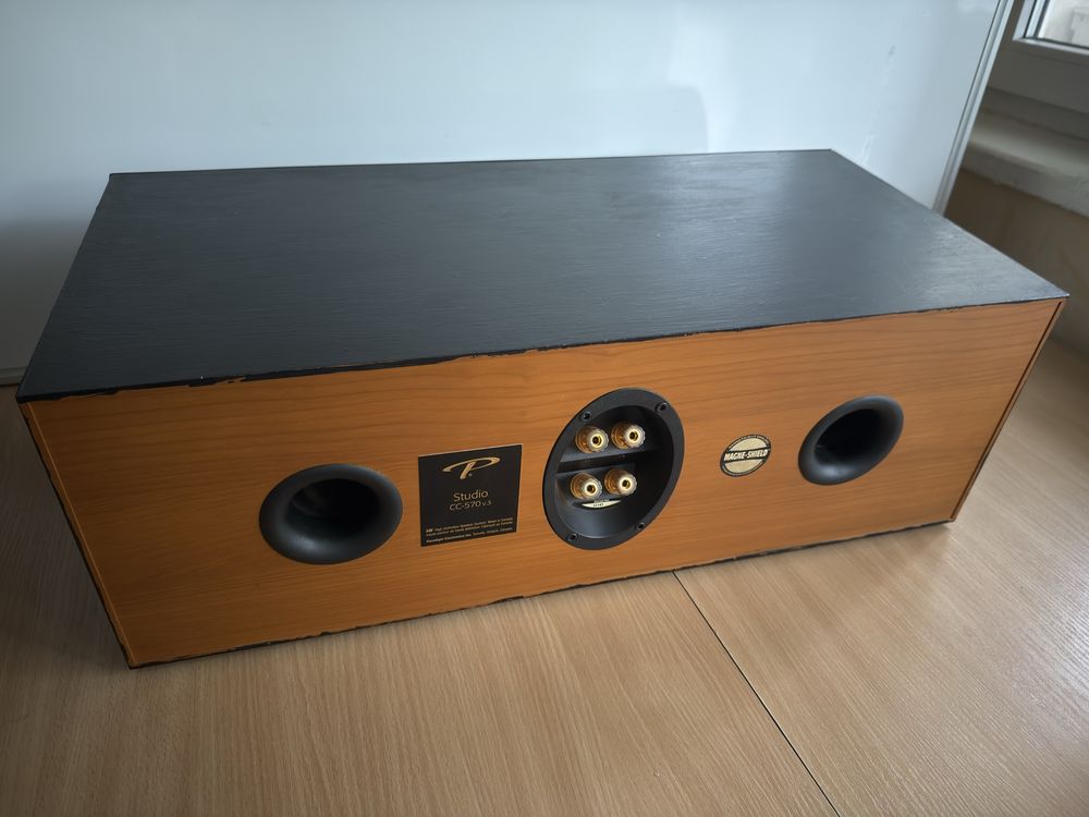 Kolumna centralna Paradigm Studio CC-570 v3