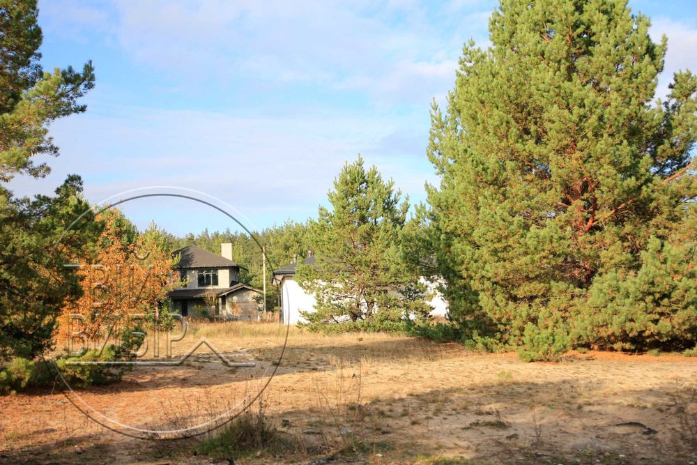 Продаж Ділянки 10 соток Гореничі Світло Ліс