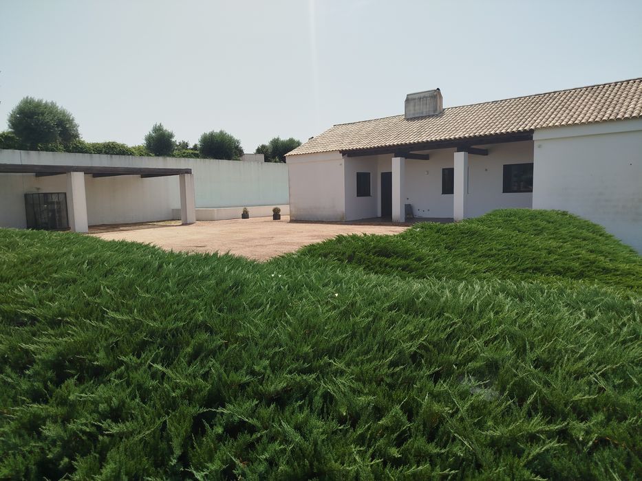 Limpeza de terrenos e jardins