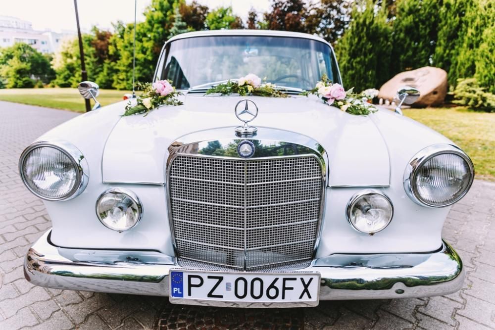 Pojazd do ślubu klasyczna limuzyna ponad 50-letni Mercedes retro