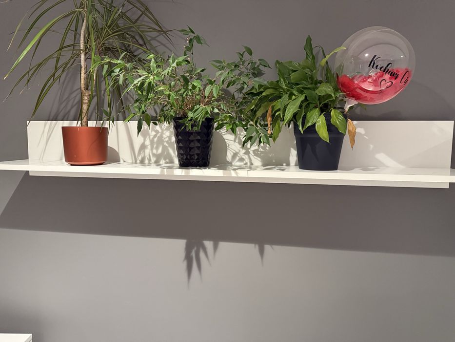 Zestaw mebli do salonu