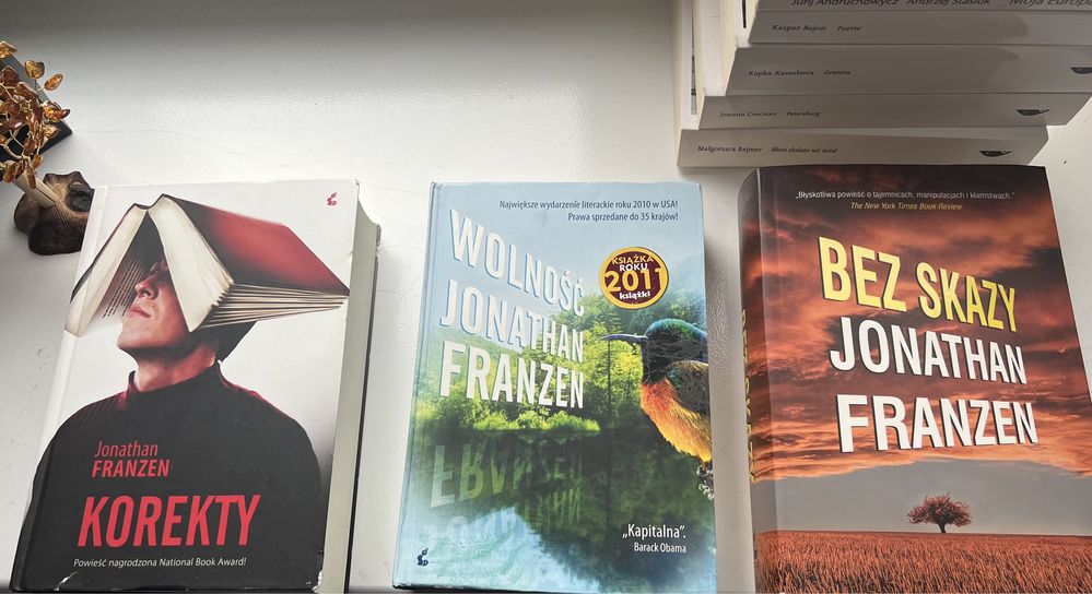 Jonathan Franzen - Bez skazy, Korekty, Wolność