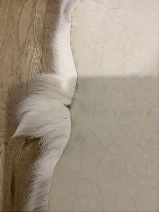 Skóra Renifera z LAPONii roz. XXL