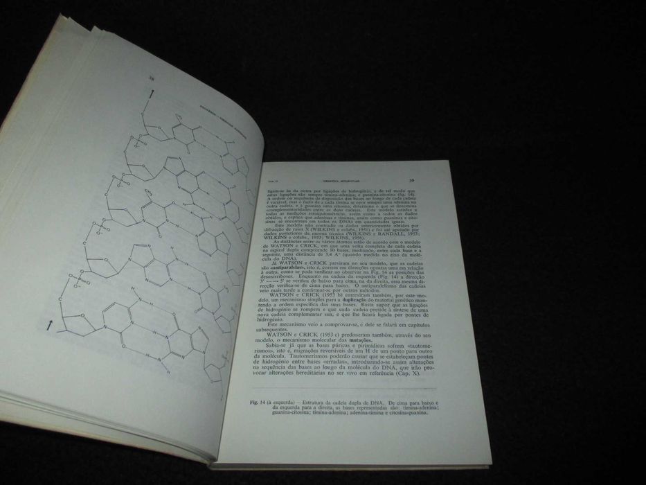 Livro Genética Molecular Luís J. Archer Brotéria