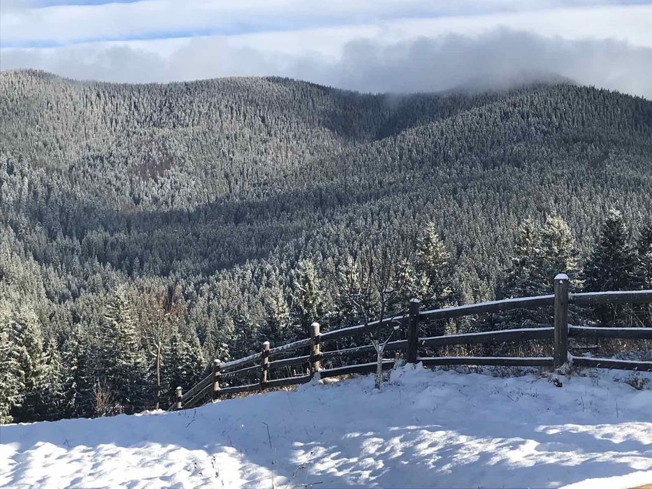 Відпочинок у Карпатах. Котедж "Під лісом".
