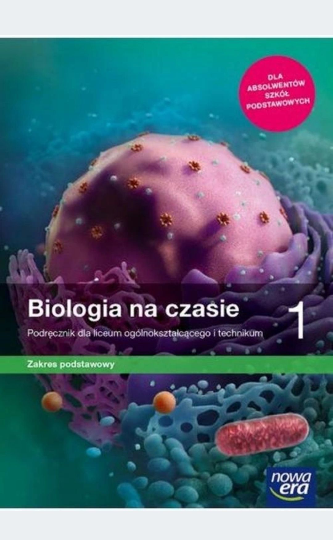 Podręczniki do 1 klasy technikum