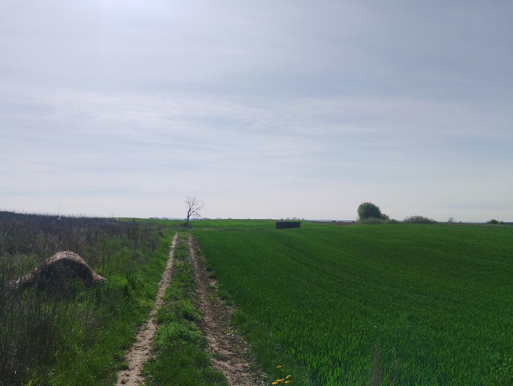 Sprzedam działkę budowlaną