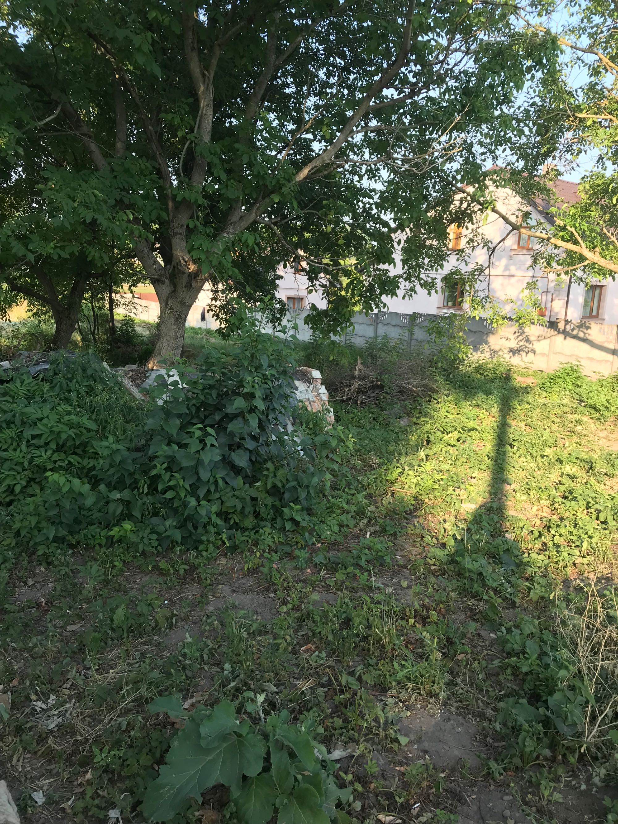 Будинок та земельна ділянка с. Руданці