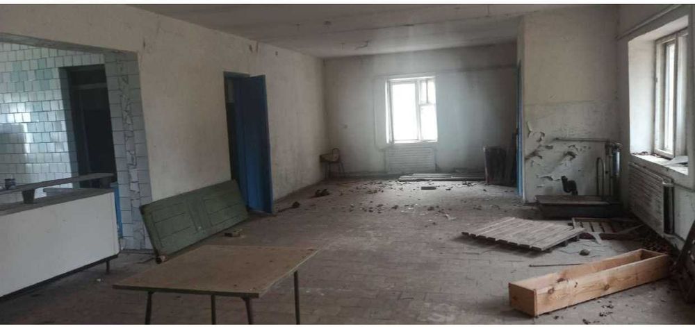 Майновий комплекс 226.7 м2, Олешня, вул. Лісова, 22.