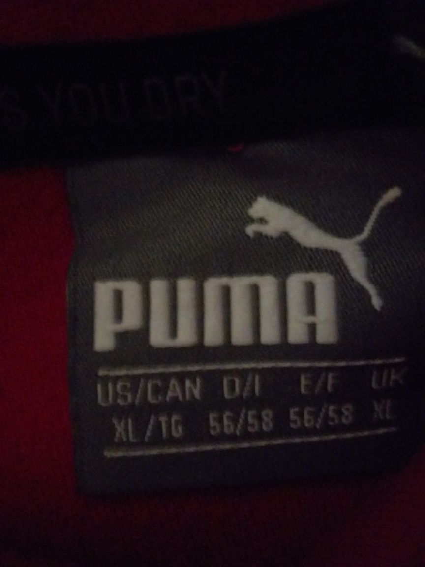 Casacos e sweatshirt de marca ( adidas e puma)