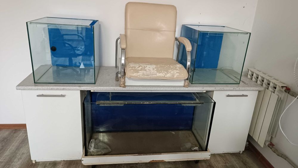 Акваріум Garra Rufa