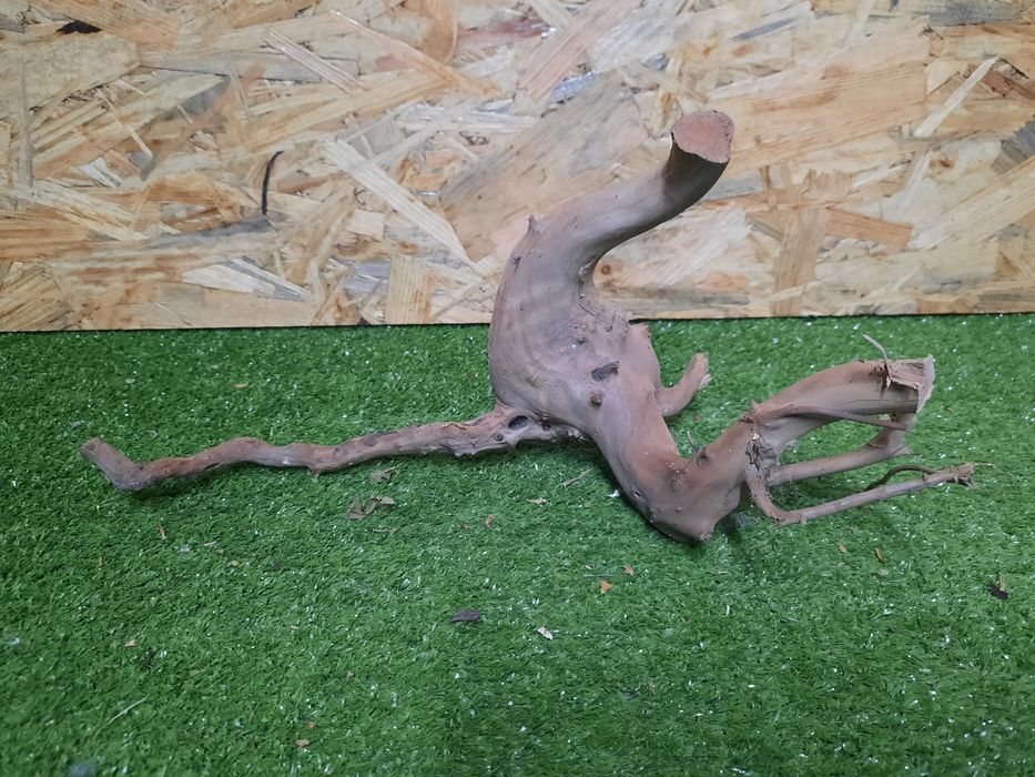 Korzeń do akwarium Red Moore Wood nr 1116 o wymiarach 33/15/16