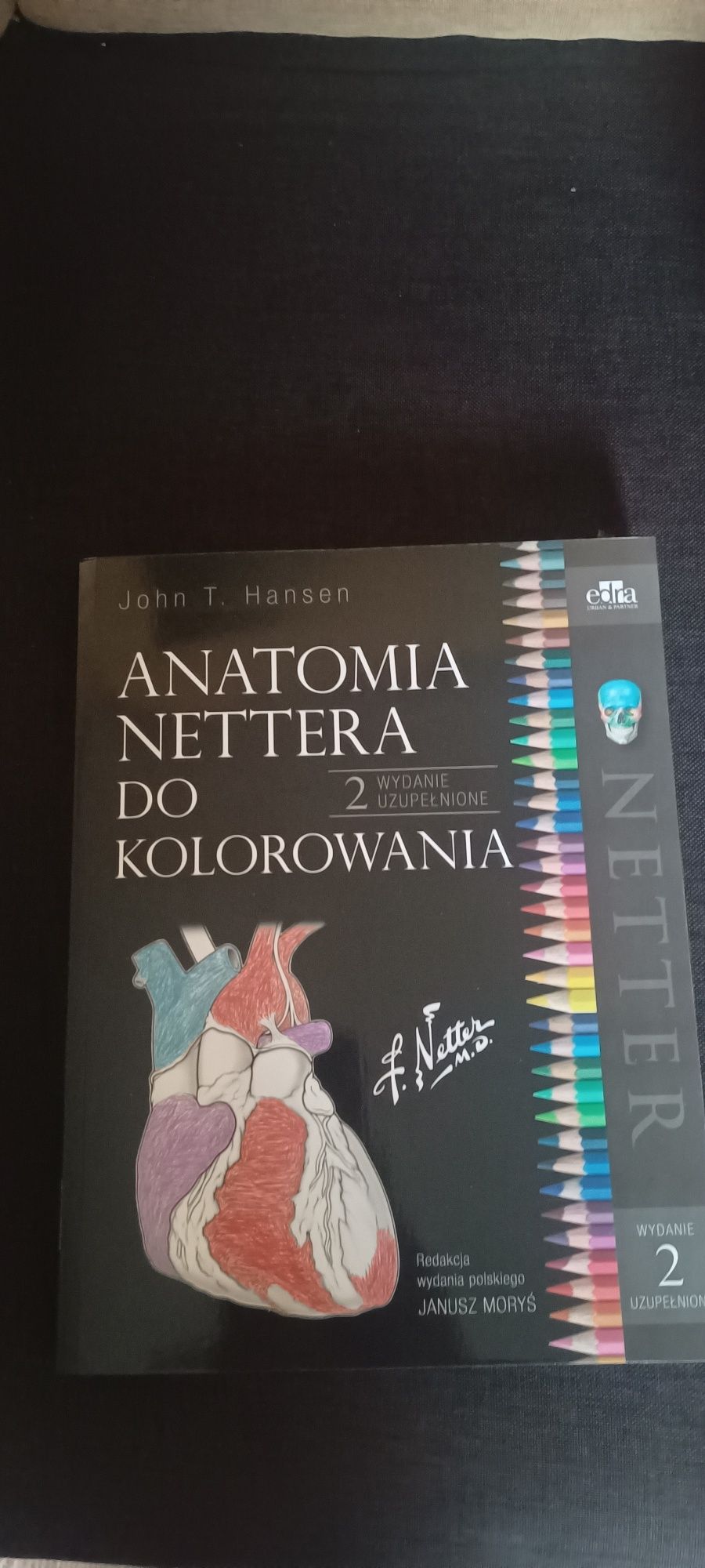Anatomia Nettera do kolorowania