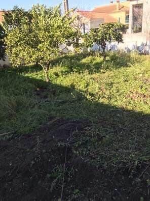 Lote de construção com anexos e garagem