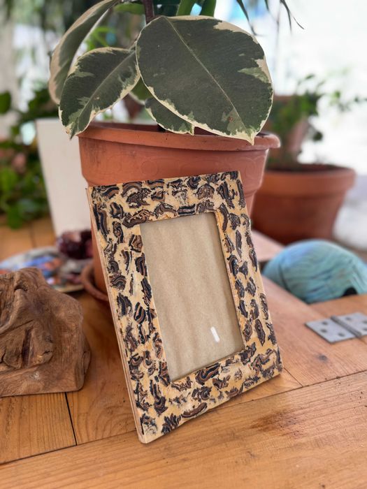 Photo Frames Africa Theme x 32