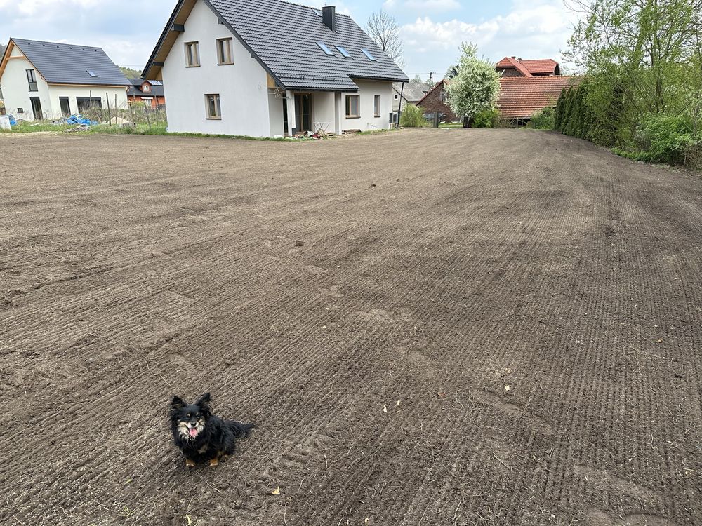 Usługi glebogryzarką separacyjna, równanie terenu, siew, wałowanie